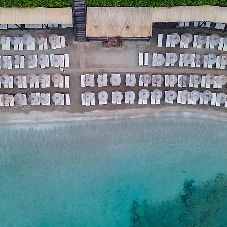 Complex Laur Experience & Elegance