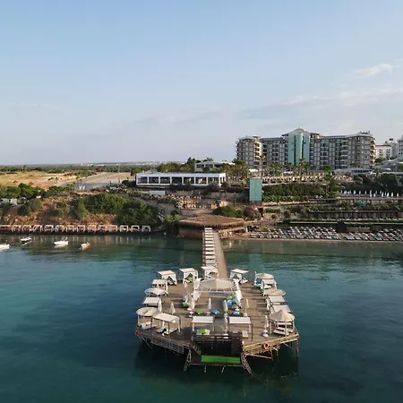 Complex Laur Experience & Elegance