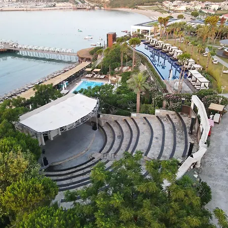 Complex Laur Experience & Elegance