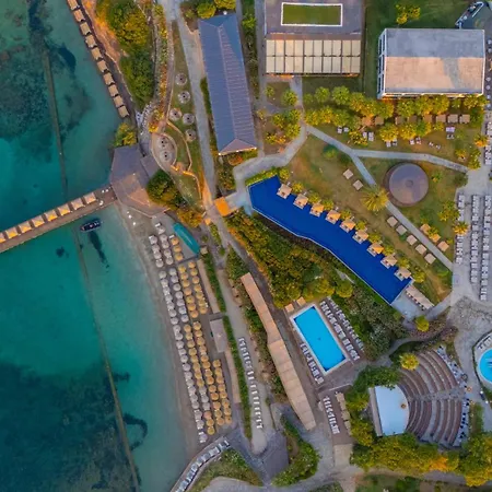 Laur Experience & Elegance